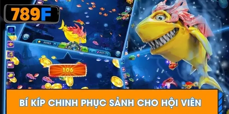 Bí kíp chinh phục sảnh cho hội viên