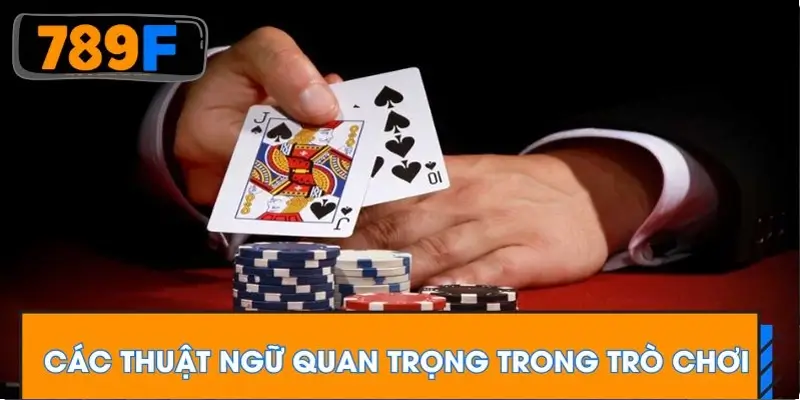 Các thuật ngữ quan trọng trong trò chơi Các thuật ngữ quan trọng trong trò chơi