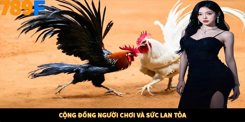 Cộng đồng người chơi và sức lan tỏa