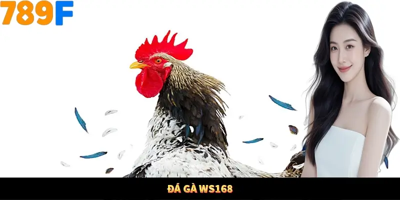 Đá Gà WS168