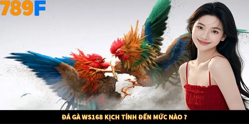 Đá gà WS168 kịch tính đến mức nào? Đá gà WS168 kịch tính đến mức nào?
