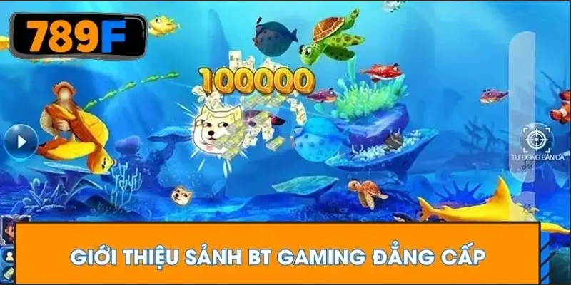 Giới thiệu sảnh BT Gaming đẳng cấp