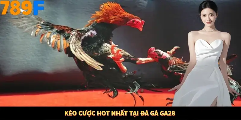 Kèo cược nào hot nhất tại đá gà GA28