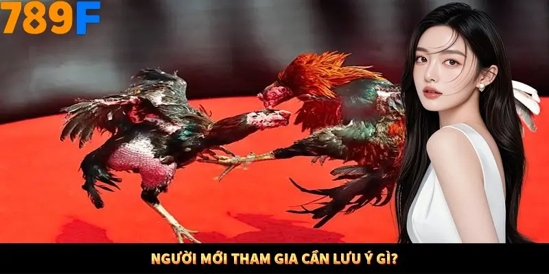 Người mới tham gia cần lưu ý gì? Người mới tham gia cần lưu ý gì?