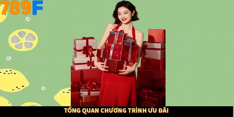 Tổng quan chương trình ưu đãi Tổng quan chương trình ưu đãi
