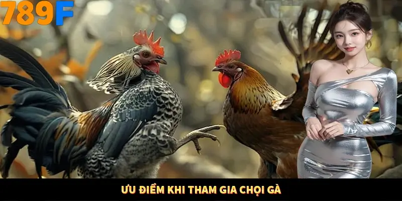 Ưu điểm khi tham gia chọi gà