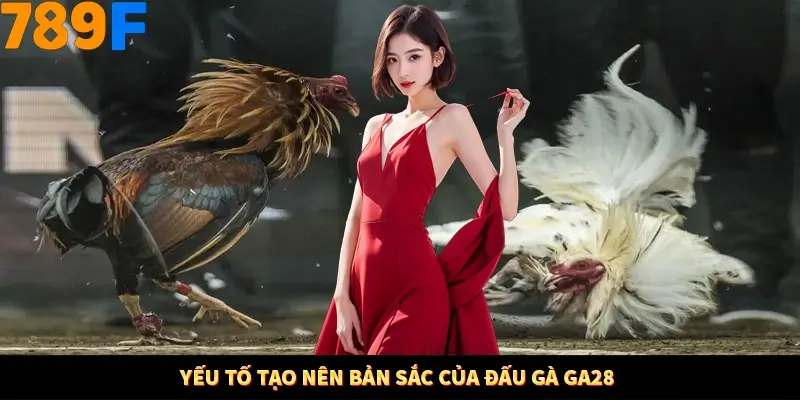 Yếu tố tạo nên bản sắc của đấu gà GA28